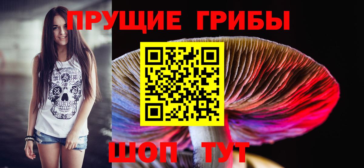 Псилоцибиновые грибы Psilocybine cubensis  Вход с VPN  купить наркоту  Кудрово 